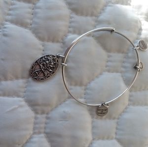 Alex and ani bracelet
